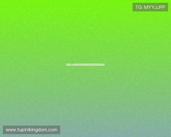 摩洛哥vs海地世界杯比赛前的阵容分析与赛前预测重点解读